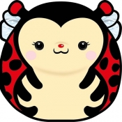 Karnet Uniwersalny - Chonky Ladybug