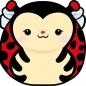 Karnet Uniwersalny - Chonky Ladybug