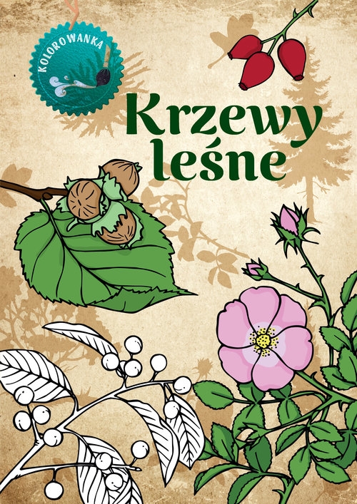 Krzewy leśne Kolorowanka