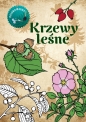 Krzewy leśne Kolorowanka - Katarzyna Kopiec-Sekieta