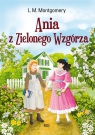  Ania z Zielonego Wzgórza