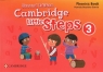  Cambridge Little Steps 3 Phonics Book