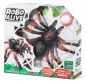 Wielka Tarantula (7170)