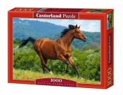 Puzzle 1000 Reddish-brown horse (102396) - praca zbiorowa