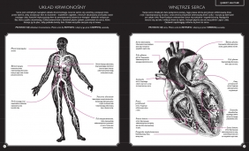 Gabinet anatomii - Carnovsky, Barbara Taylor Bradford