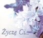 Życzę Ci... Perełka 188 - Opracowanie zbiorowe