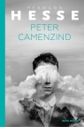 Peter Camenzin Hesse Hermann