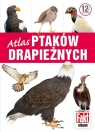 Atlas ptaków drapieżnych Magdalena Janiszewska, Aleksandra Janiszewska