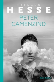 Peter Camenzin