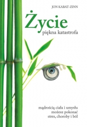 Życie piękna katastrofa