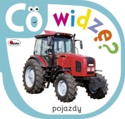 Co widzę Pojazdy - Piotr Kozera