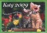 Koty 2009 kalendarz rodzinny