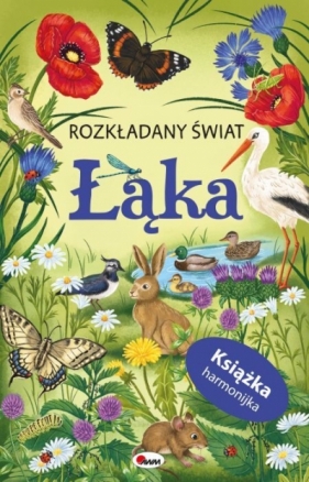 Łąka. Rozkładany świat (książka harmonijka) - Opracowanie zbiorowe