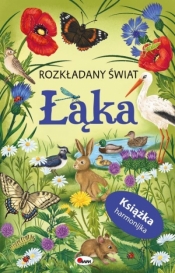 Łąka. Rozkładany świat (książka harmonijka) - Opracowanie zbiorowe