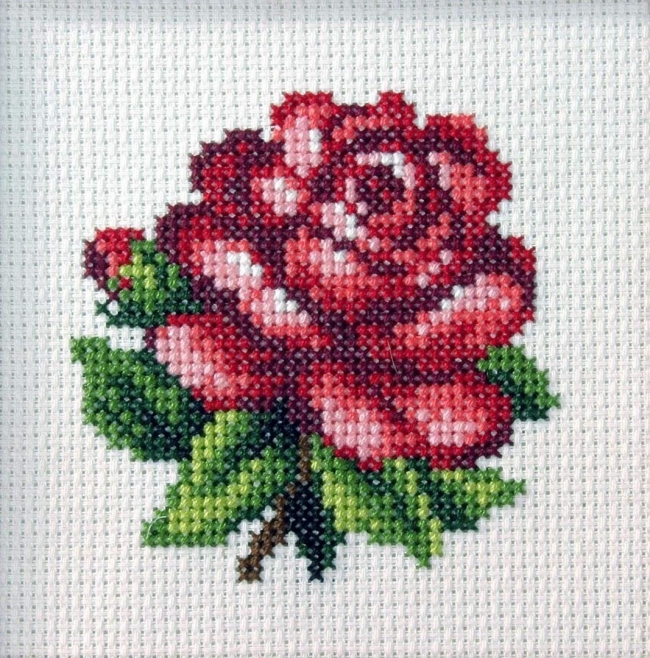 Haft krzyżykowy - Czerwona róża