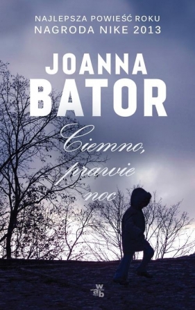 Ciemno, prawie noc - Joanna Bator