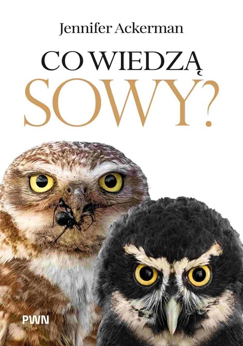 Co wiedzą sowy?