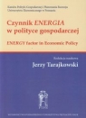 Czynnik energia w polityce gospodarczej