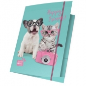 Teczka z gumką A4 błękitno-różowa Happy Friends 15 sztuk