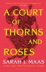  A Court of Thorns and Roses