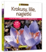 Krokusy, lilie, nagietki