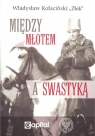 Między młotem a swastyką Kołaciński Władysław