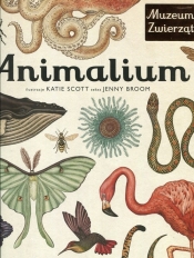 Animalium. Muzeum Zwierząt - Broom Jenny