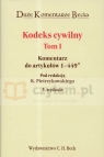 Kodeks cywilny t.1