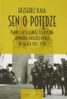 Sen o potędze Plany i działalność polityczna Edwarda Śmigłego-Rydza w Kała Grzegorz