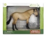  Klacz Lusitano maści Buttermilk Buckskin (Deluxe)