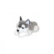 Pies Husky 42cm