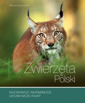 Zwierzęta Polski - Kosińska Renata