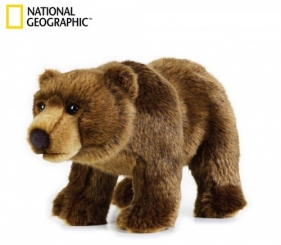 Niedźwiedź Grizzly