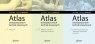 Atlas osteopatycznych technik stawowych Tom 1-3 Tixa Serge, Ebenegger Bernard