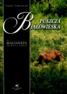 Puszcza Białowieska Fabijański Paweł