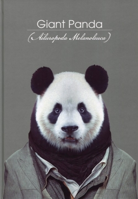 Brulion A4 Zoo Portraits w kratkę 96 kartek Panda - <br />