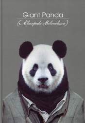 Brulion A4 Zoo Portraits w kratkę 96 kartek Panda - <br />