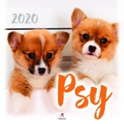 Kalendarz 2020 ścienny kwadrat Psy