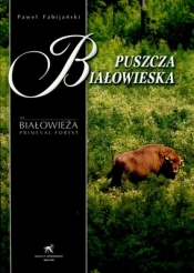 Puszcza Białowieska