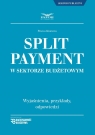 Split Payment w sektorze budżetowym wyjaśnienia , przykłady ,