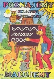 Poznajemy szlaczki zygzaczki i malujemy