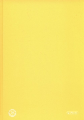 Brulion B5 Color Blocking w kratkę 120 kartek żółty - <br />