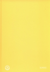 Brulion B5 Color Blocking w kratkę 120 kartek żółty - <br />