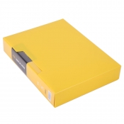 Album ofertowy A4/80 koszulek - Żółty
