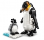 Lego Creator - Dzikie zwierzęta: rodzina pand 3w1, 626 el. (31165)
