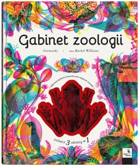 Gabinet zoologii - Rachel Williams