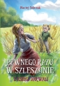 Pewnego razu w Szleszynie - Maciej Sobczak