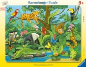Puzzle ramkowe 11: Zwierzęta lasu deszczowego (5140)