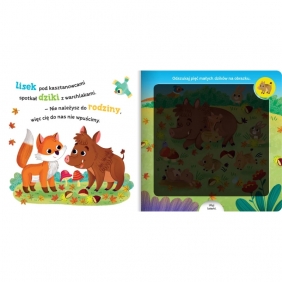 Poszukaj zwierzątek w lesie. Książka z latarką - Bogusław Michalec