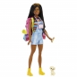 Barbie Brooklyn na kempingu, lalka + akcesoria (HDF74)
